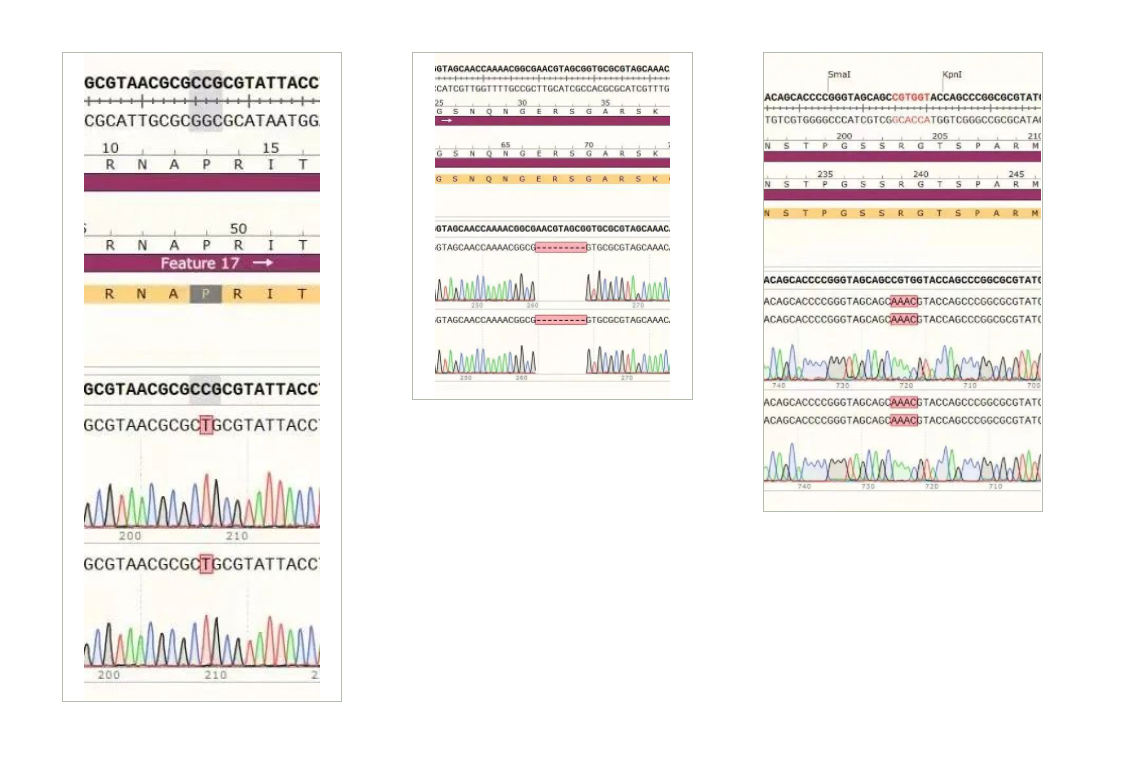 1648543499748234.png 屏幕截圖 2022-03-29 163748.png